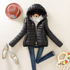 Solid Color Zipper Hooded Women Spring Jacket