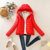 Solid Color Zipper Hooded Women Spring Jacket