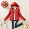 Solid Color Zipper Hooded Women Spring Jacket