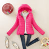 Solid Color Zipper Hooded Women Spring Jacket