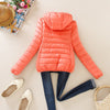 Solid Color Zipper Hooded Women Spring Jacket